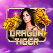 Dragon Tiger airon paly live casino